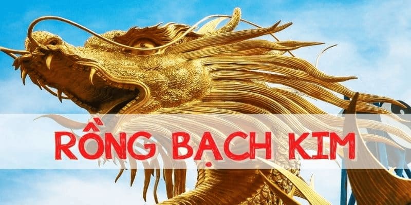 Bật mí cách soi cầu Rồng Bạch Kim chính xác 100