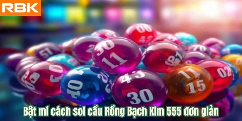 Bật mí cách soi cầu Rồng Bạch Kim 555 đơn giản