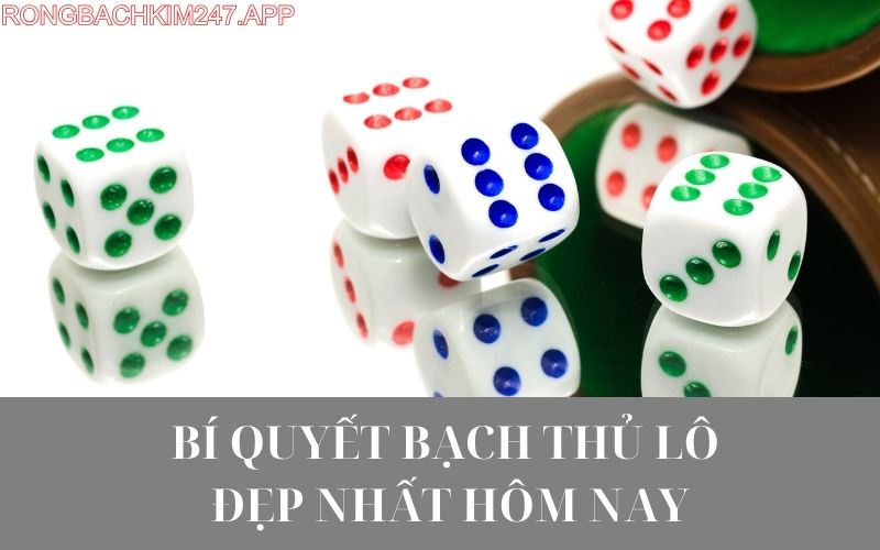 Bí quyết bạch thủ lô đẹp nhất hôm nay