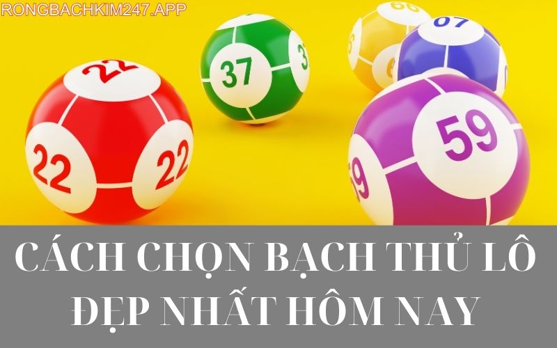 Cách chọn bạch thủ lô đẹp nhất hôm nay