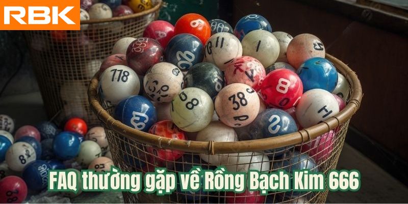 Những câu hỏi thường gặp về rồng bạch kim 666