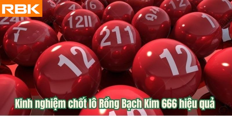 Kinh nghiệm chốt lô Rồng Bạch Kim 666 hiệu quả